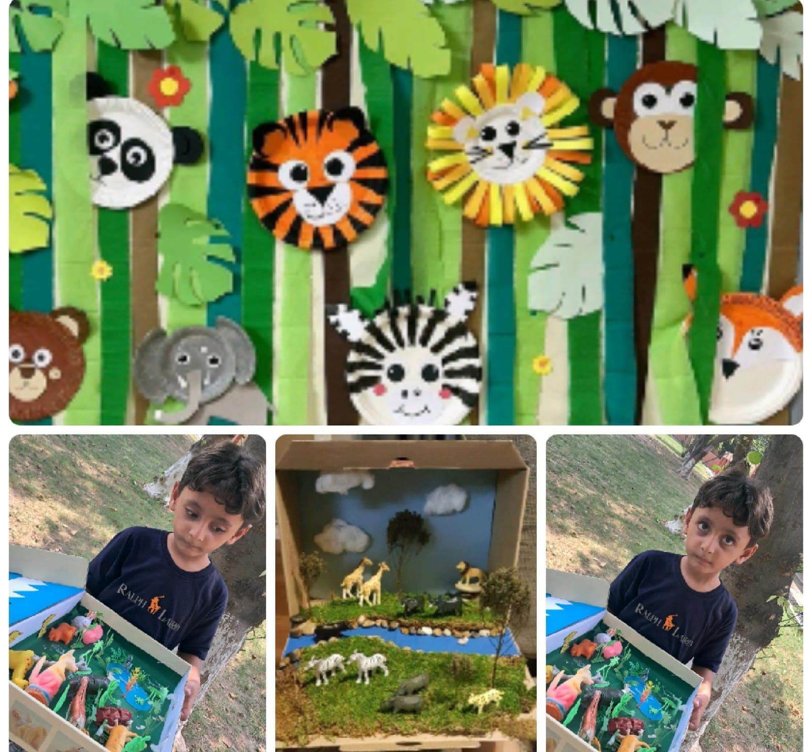 11th September — Animal Habitat