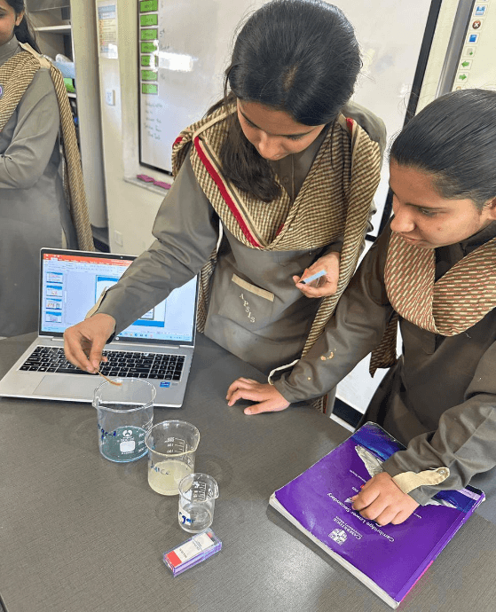 Learning through Realia