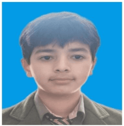 M. Ibrahim