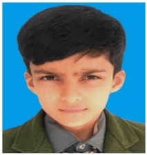 M. Ibrahim