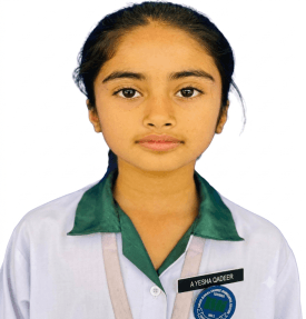 Ayesha Qadeer