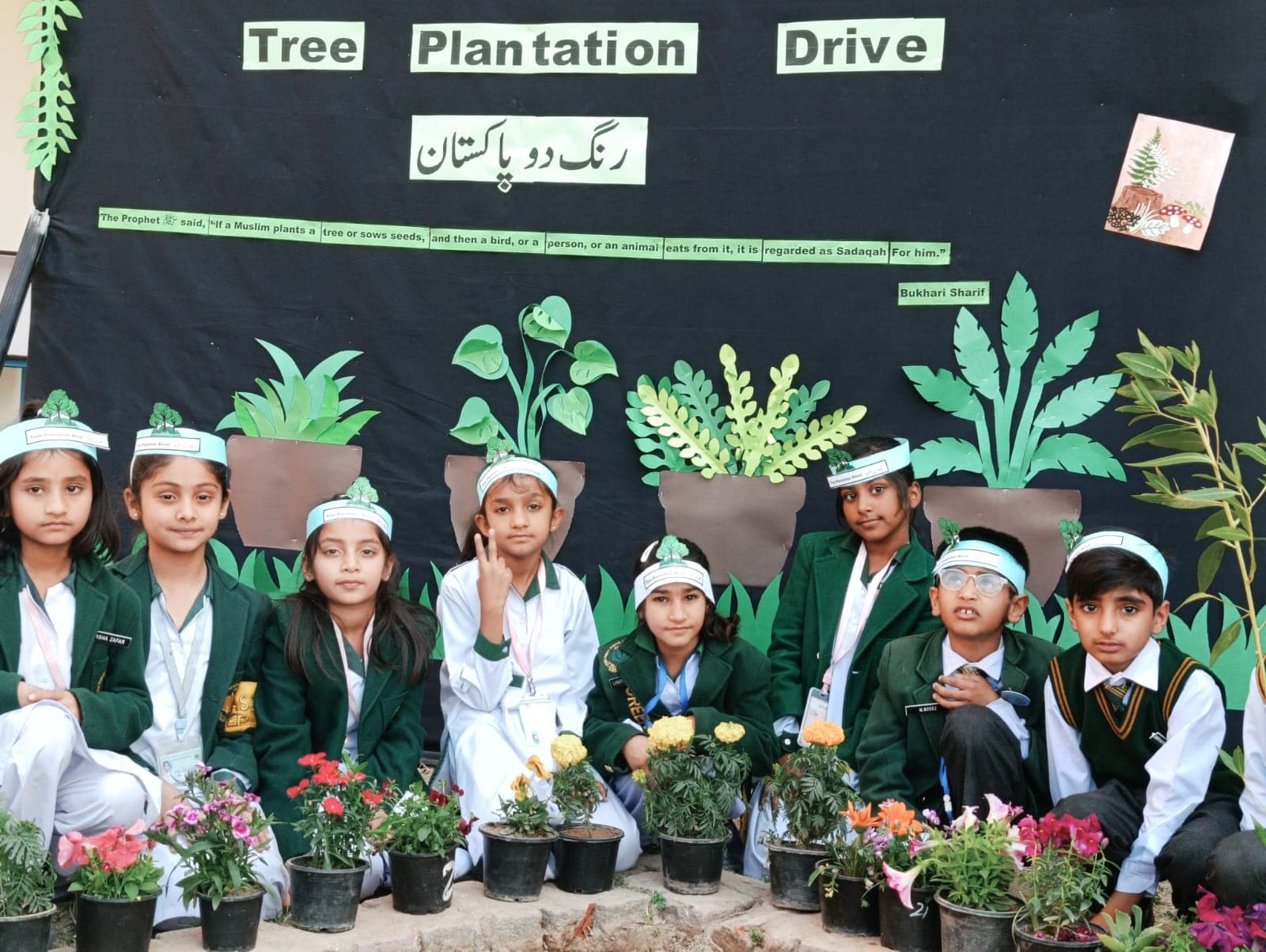Tree Plantation