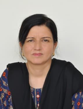 Ms. Naureen Zubair