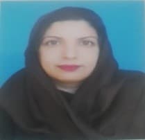 Ms. Noor-Ul-Ain